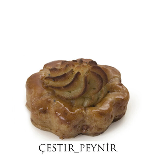 ÇESTIR PEYNİR